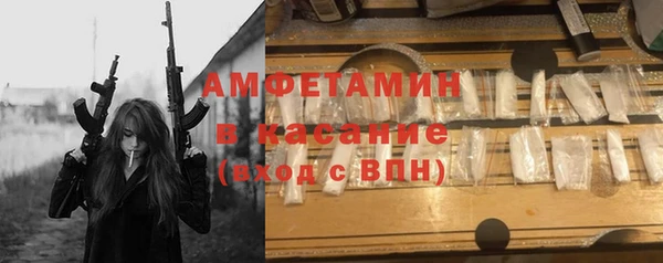 молекула духа Новозыбков
