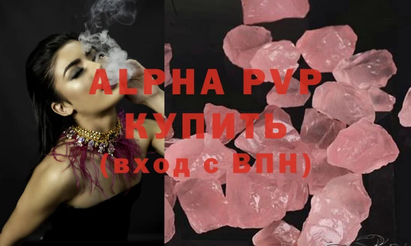 молекула духа Новозыбков