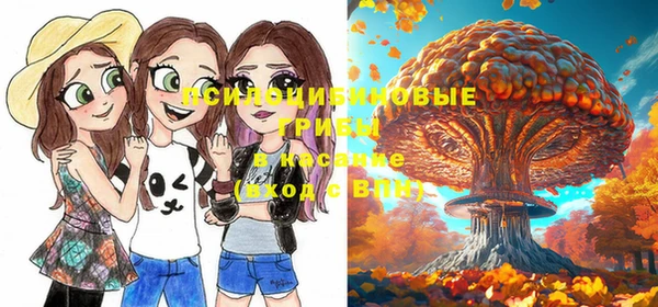 марки lsd Нязепетровск