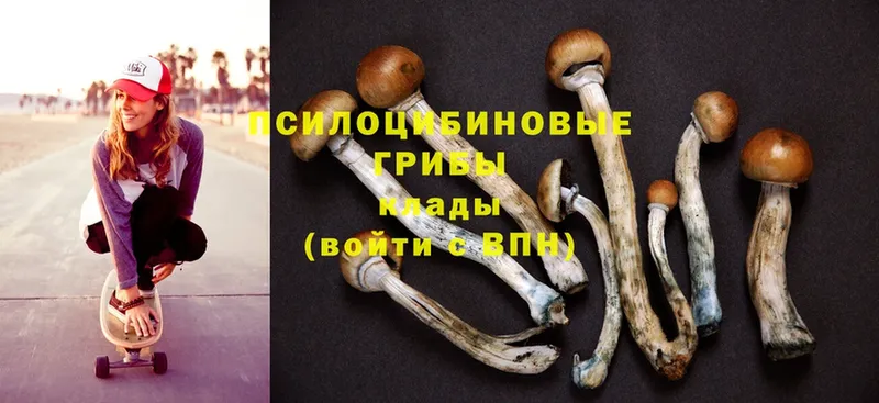 OMG онион  Новоуральск  Псилоцибиновые грибы Psilocybe  как найти  