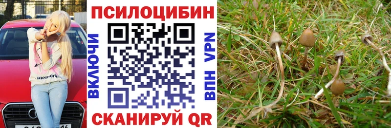 omg вход Новоуральск Псилоцибиновые грибы Magic Shrooms